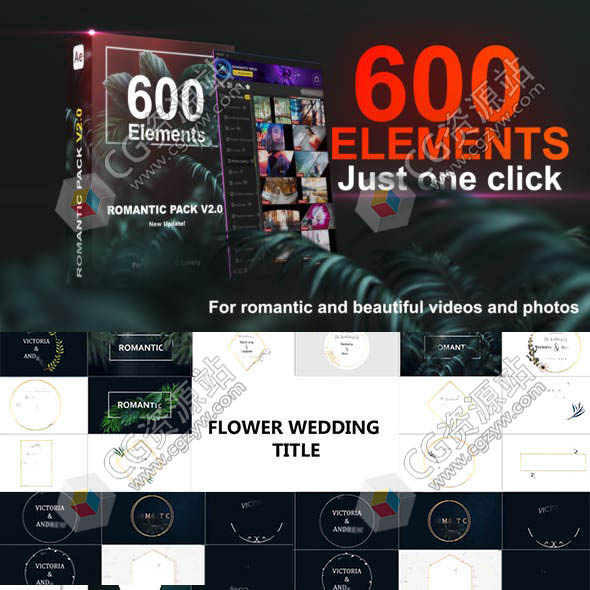 AE脚本-600组婚礼文字标题边框装饰调色藤蔓花纹光效粒子转场素材包V2.0