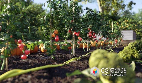 田地蔬菜水果胡萝卜西红柿草莓等植物3D模型-图片1