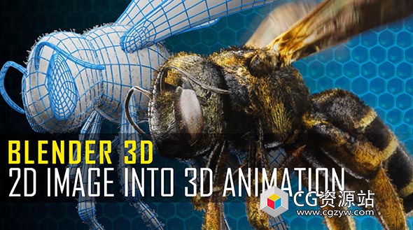 Blender蜜蜂建模绑定毛发材质渲染视频教程