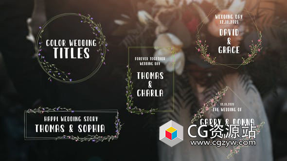 FCPX插件-花藤徽章鲜花婚礼文字标题字幕动画 Color Wedding Titles