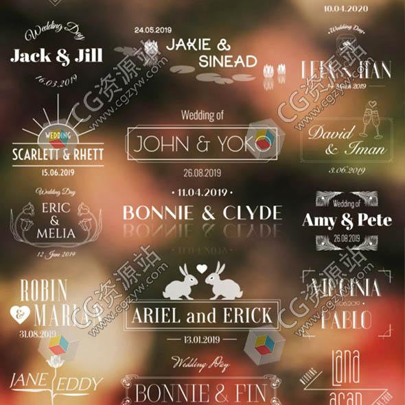 达芬奇模板-50种浪漫徽章花丝花卉婚礼文字标题动画 Wedding Titles