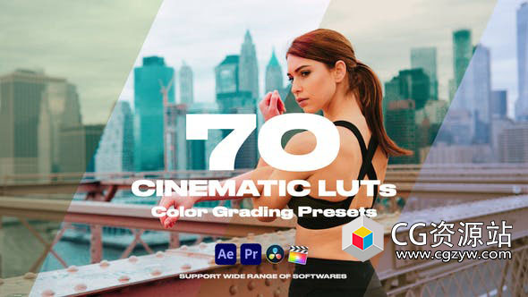 38组LUTs电影婚礼调色预设 Cinematic LUTs(FCPX/达芬奇/AE/Pr)