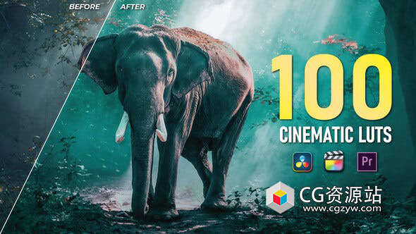 100个电影婚礼LUTs调色预设(FCPX/达芬奇/AE/Pr)