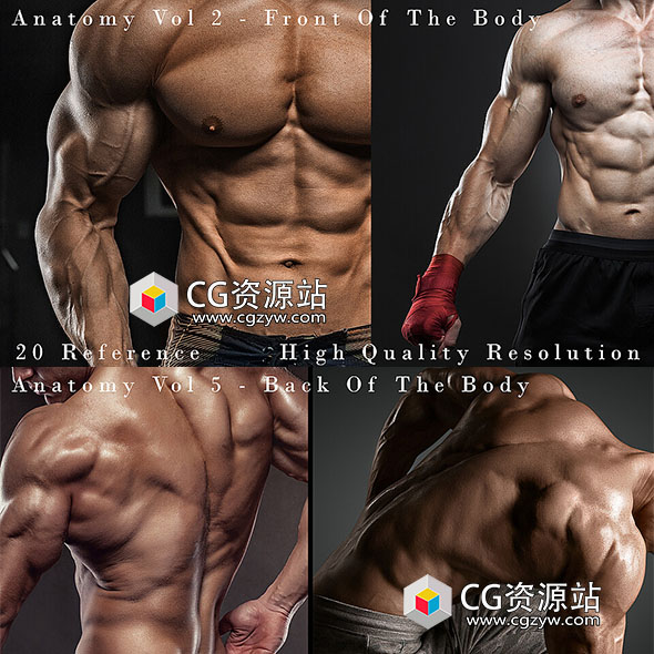 80张男性身体前部后部手臂静脉腿细节解剖学高清参考图片合集-图片1