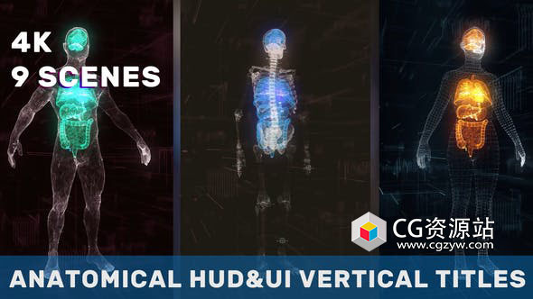 AE模板-科技感竖屏人体解剖医疗器官HUD动画 Anatomical Vertical HUD UI Titles
