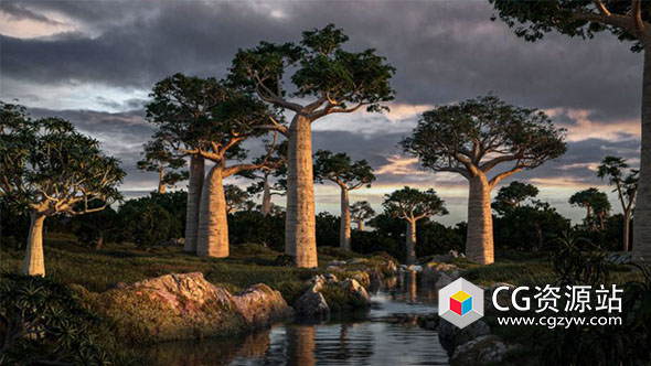 72个单模黄花梨果树金鸡纳黄柏等树木高质量3D模型-图片1