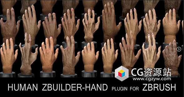 Zbrush制作人手模型工具插件 Human Zbuilder – Hand