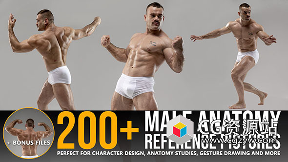216张男性运动肌​​肉姿势造型解剖学参考图片-图片1