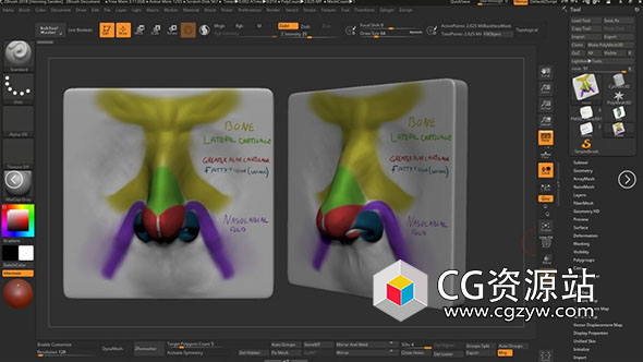 Zbrush人脸面部眼睛鼻子耳朵嘴巴雕刻视频教程-图片1