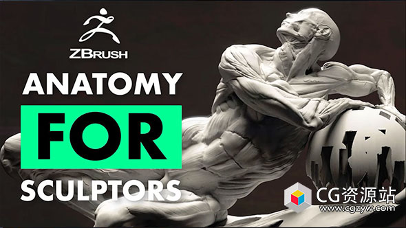 ZBrush人体基本解剖学雕刻技能视频教程