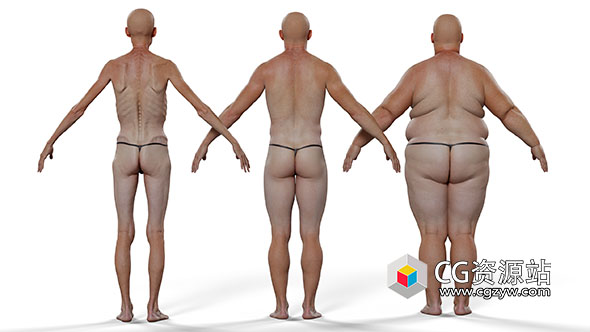 Zbursh女性男性角色变形可调整基础网格3D模型-图片1