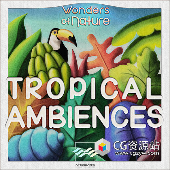 52个热带雨林大自然环境氛围无损音效