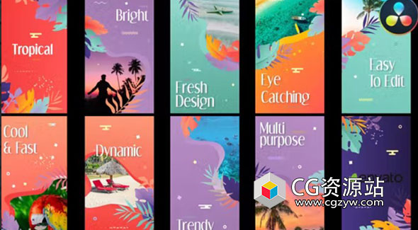 达芬奇模板-4k竖屏社交媒体照片视频宣传模板 Tropical Stories Slideshow