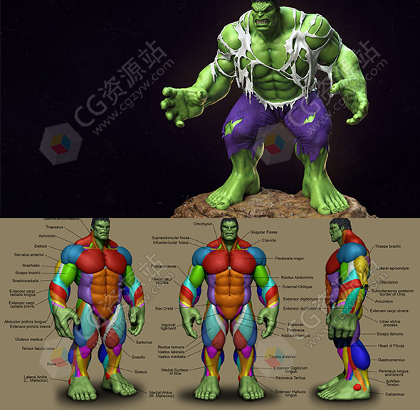 Zbrush超级英雄绿巨人雕刻制作视频教程