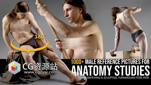 1000张用于解剖学绘画男性高清参考图片-图片1
