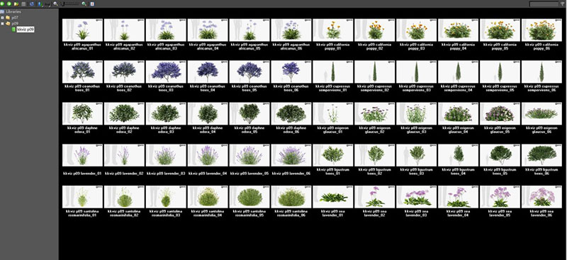 60个低多边形城市树木公园植物花朵3D模型(MAX格式)-图片2