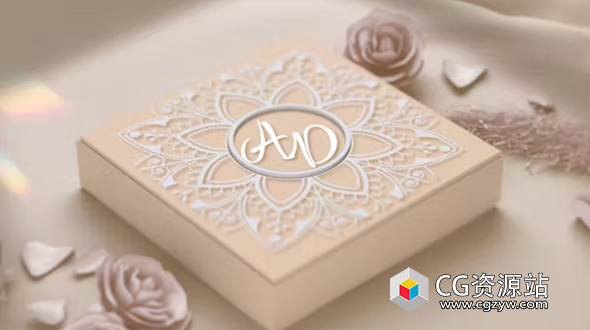 AE模板-浪漫优雅3D婚礼请柬盒请柬活动动画