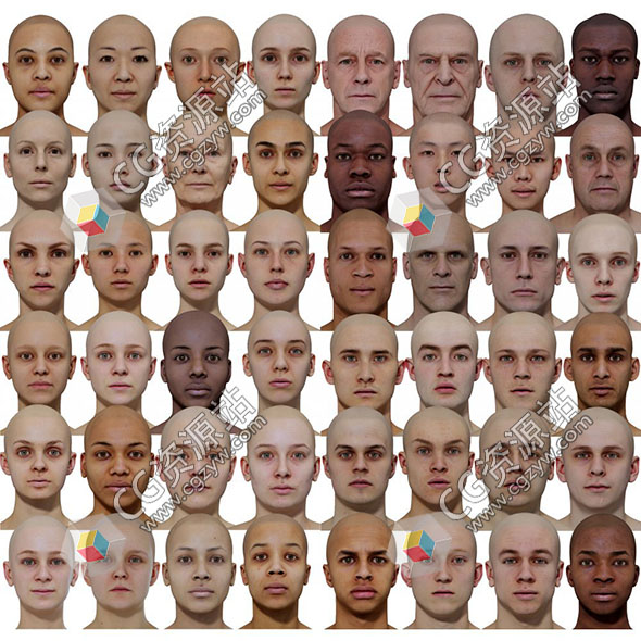 48组高精度男性女性头部扫描3D模型-图片1