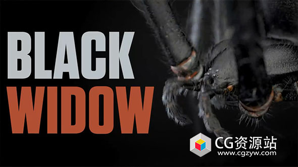 C4D蜘蛛建模展UV贴图材质绑定动画教程+中英文字幕