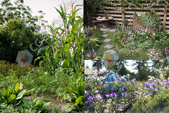 三套高质量花卉草木植物3D模型合集MAX格式V8/V91/V93-图片1