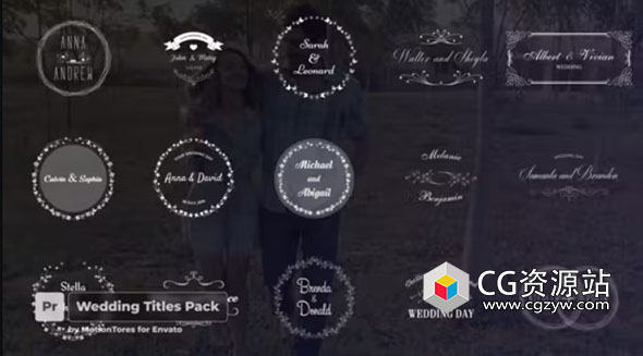 PR模板-24组4k徽章蝴蝶元素婚礼标题 Wedding Titles