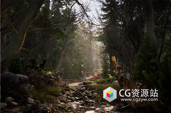 Unity真实风景山谷森林 Real Landscapes – Valley Forest v1.0.2