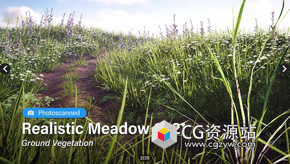 Unity真实绿色草地植被 Ground Vegetation