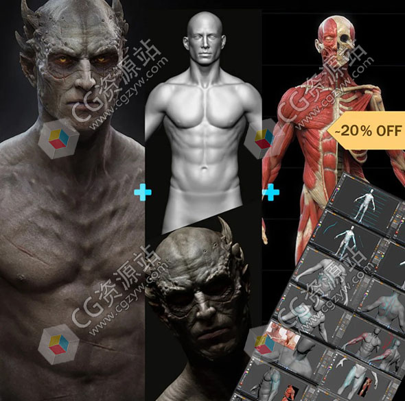 ZBrush人体结构设计角色解剖建模教程 ZBrush Anatomy & Design Package