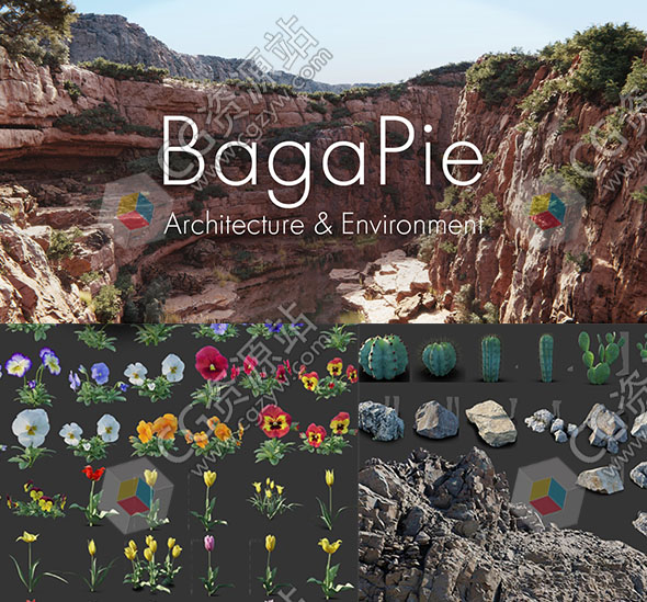 Blender插件-600种环境资产植物岩石草树桩预设 Baga Pie v11.0.8-图片1