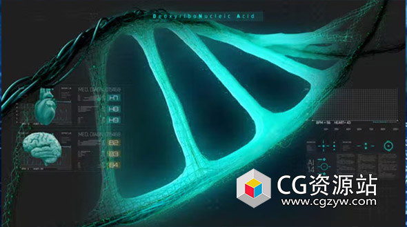 AE模板-科技感医疗科学点线DNA形态HUD元素展示 HUD Medical Interface DNA