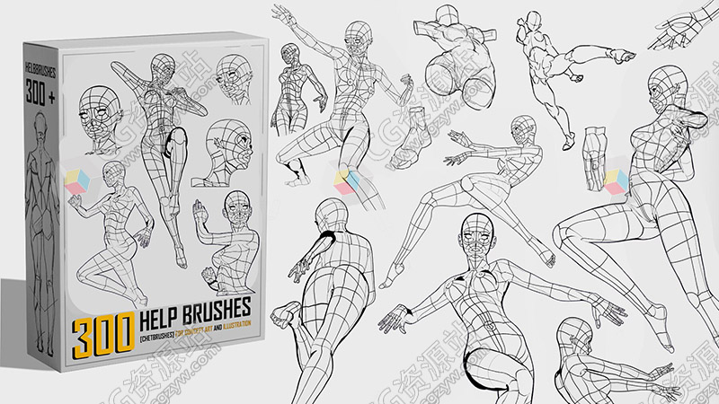 300种人类解剖学数字绘画PS笔刷预设+PNG图片-图片2