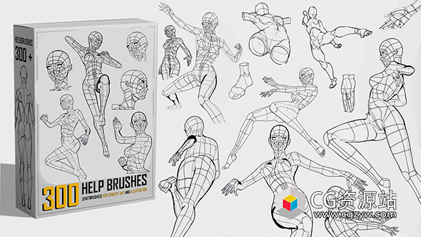 300种人类解剖学数字绘画PS笔刷预设+PNG图片-图片1