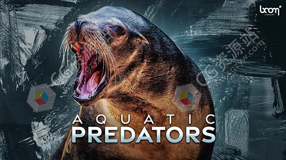 1085种海豹海豚海狮海象水生动物无损音效