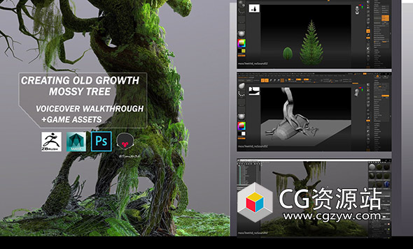 ZBrush+Maya苔藓老树游戏资产工作流程制作视频教程