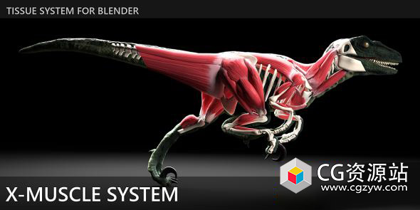 Blender肌肉系统模拟插件 X-Muscle System v4.0.7