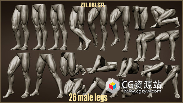 26组男腿姿势3D模型ZTL+OBJ+STL
