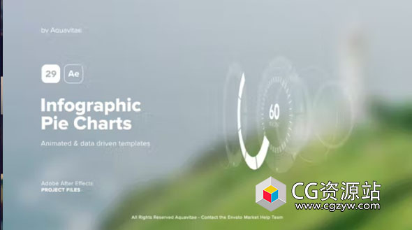 AE模板-29种信息图表饼图进度读取动画 Infographic Pie Charts