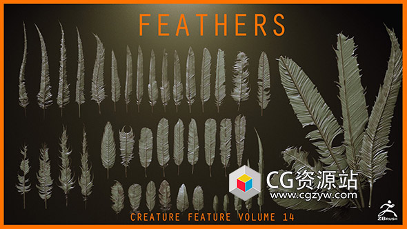 26组ZBrush羽毛笔刷预设+模型-图片1