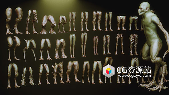 33组ZBrush生物腿脚预设模型