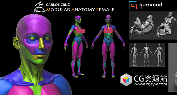 ZBrush女性雕刻解剖学人体肌肉结构模型预设+视频教程-图片1