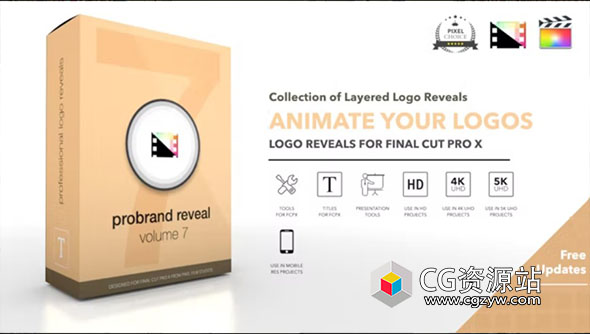 FCPX插件-30个创意预设简洁Logo展示动画