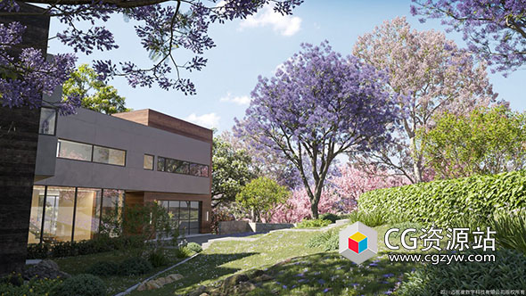 72组高品质鸡冠花水曲柳白玉兰泡桐树木植物3D模型V107-图片1