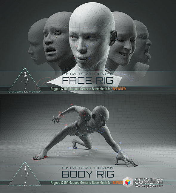 角色身体面部绑定Blender资产预设 Universal Human Body & Face Rig v3.1.0