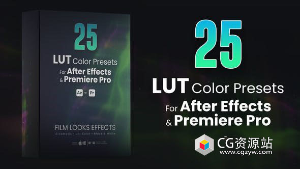 25组大气黑白电影单色3D LUT视频调色预设 25 LUTs pack