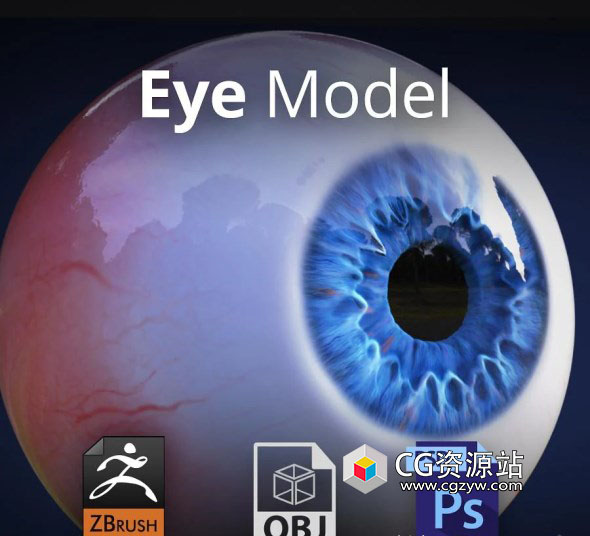 眼睛眼球3D模型 3D Eye Model
