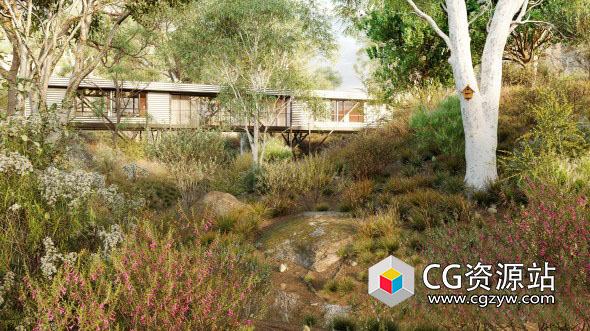 15种澳洲野生原生植物树木3D模型 GlobePlants V41 3DS MAX格式