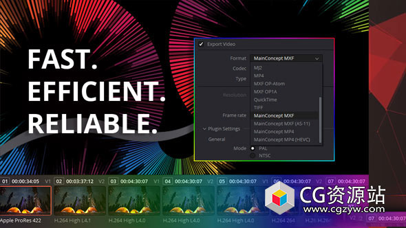 达芬奇编解码渲染插件 MainConcept Codec v1.7.2 Win