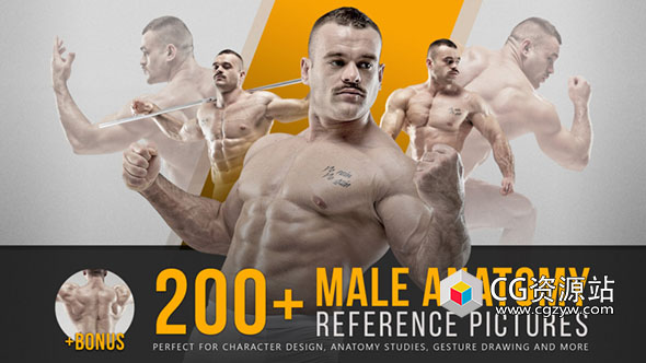 200多张男性解剖学姿势造型参考图片-图片1