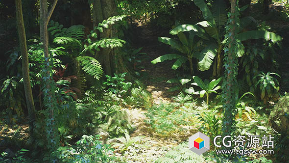 UE虚幻引擎热带雨林环境包 Rain Forest Pack