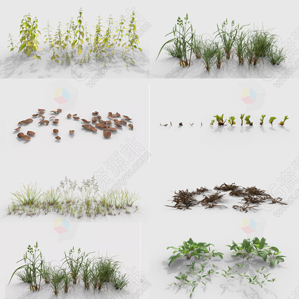植物杂草树叶花草苔藓3D模型 C4D/Maya/Max/Blender/UE5格式-图片1